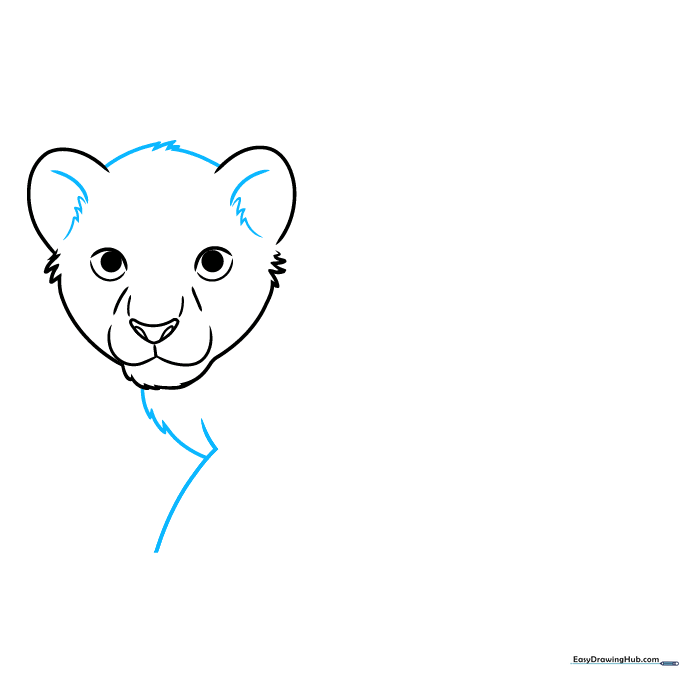Adding texture to the lion cub's head and starting the chest line.
