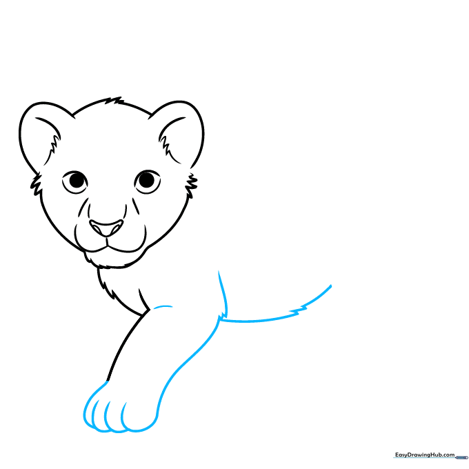 Sketching the lion cub's front leg and paw with overlapping curves.