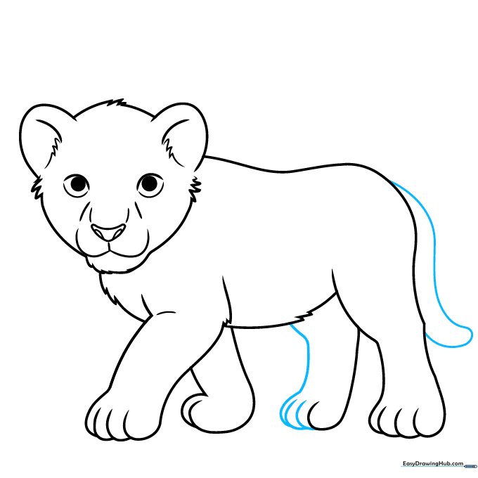 Adding the tail to the lion cub's body.