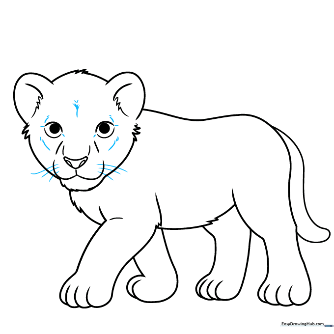 Adding final fur details and whiskers to the lion cub.