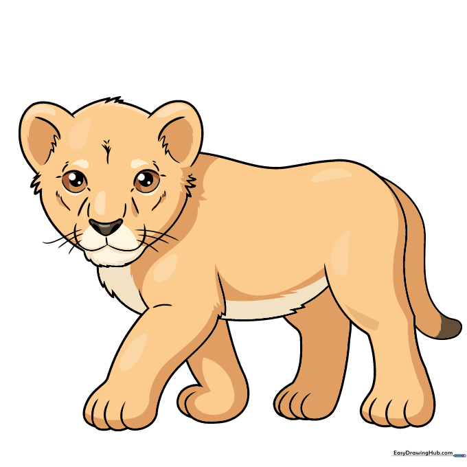 The finished, colored lion cub drawing.