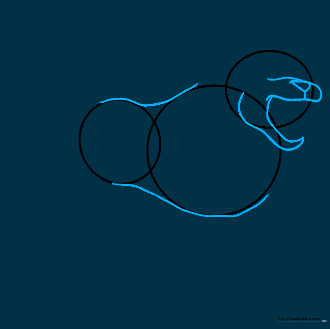 Outline of the lion's back, belly, and the initial shape of the open mouth and nose.