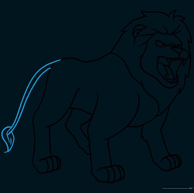 Long tail with a fluffy tuft of hair at the end.