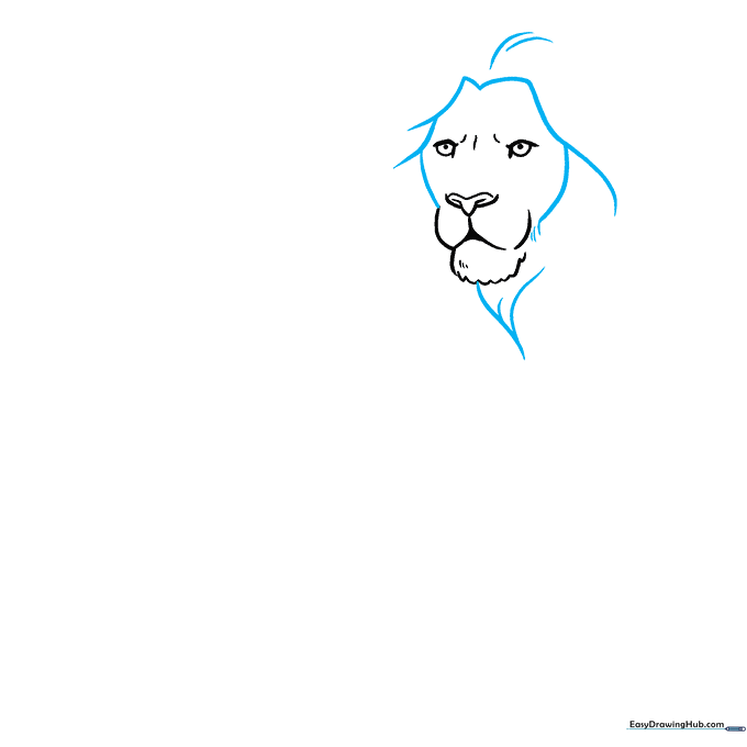Outlining the lion's face and the inner perimeter of the mane with smooth curved lines.