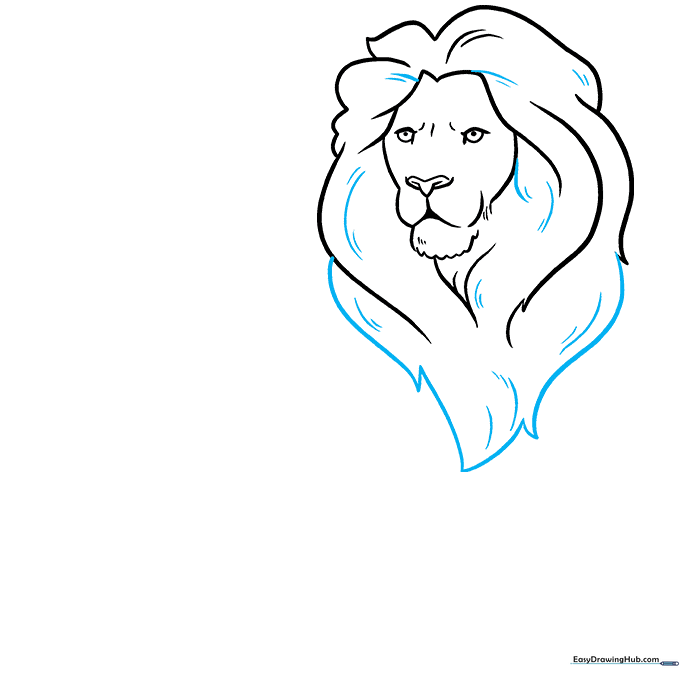 Finalizing the shape of the lion's mane with varied line lengths and internal texture strokes.