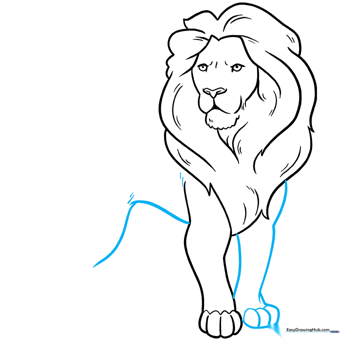 Drawing the second front leg and the lion's belly line to connect the body parts.