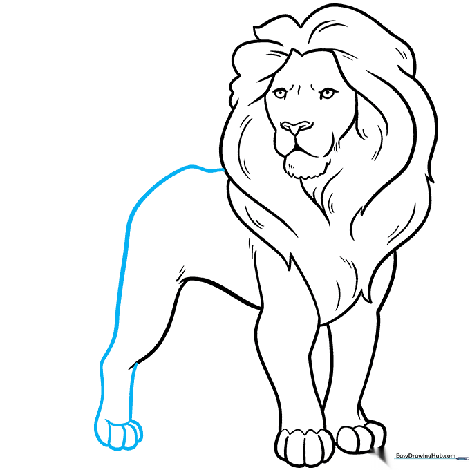 Outlining the lion's back, hip, and rear leg to complete the body structure.