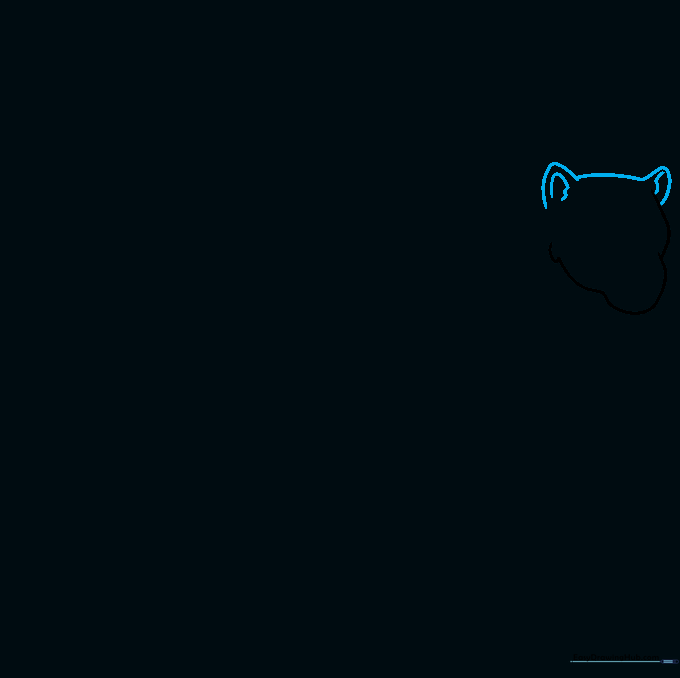 Line drawing showing the addition of rounded ears to the lioness head.