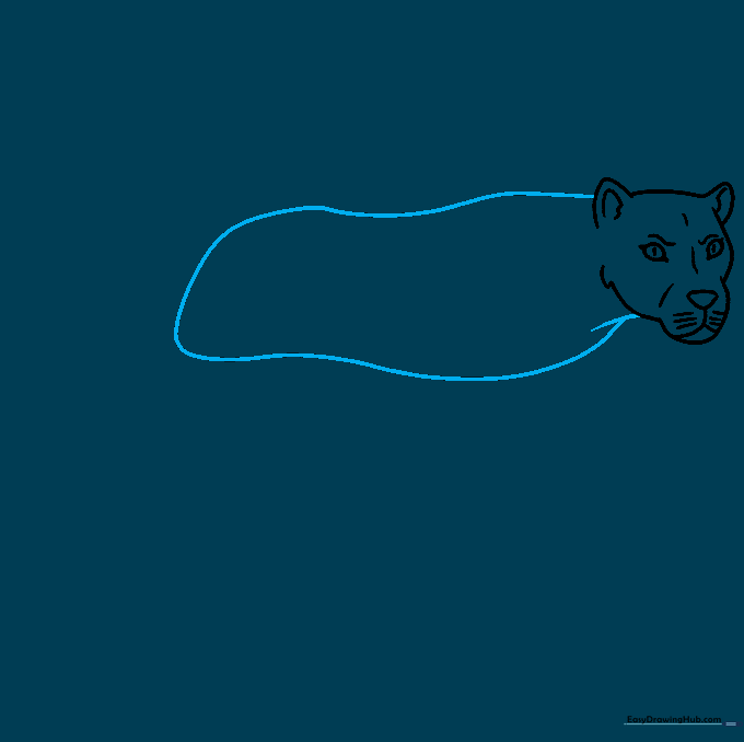 Outline of the lioness back and body shape.