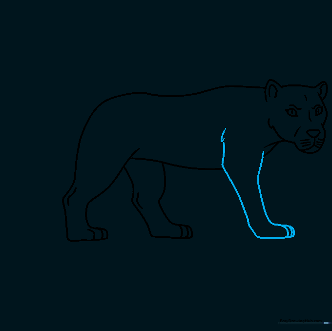 Drawing the front leg of the lioness with fur texture details.