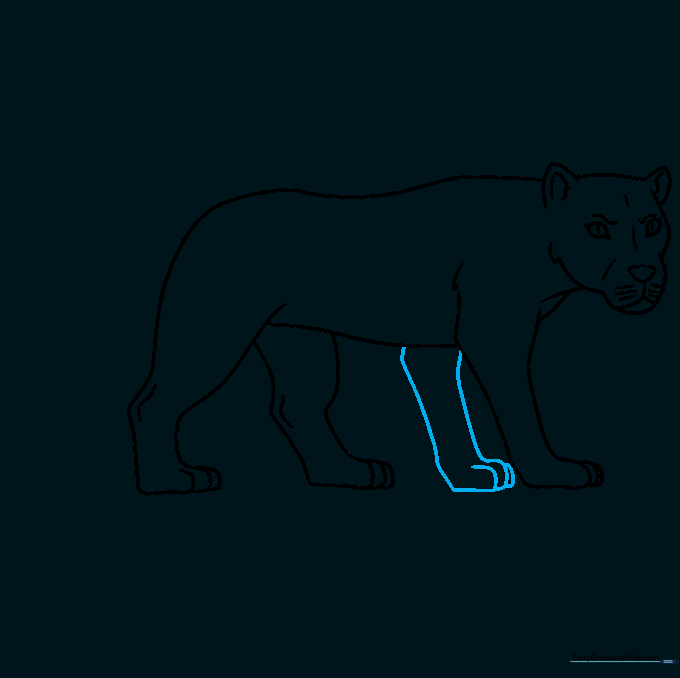 Adding the final front leg to complete the lioness body outline.