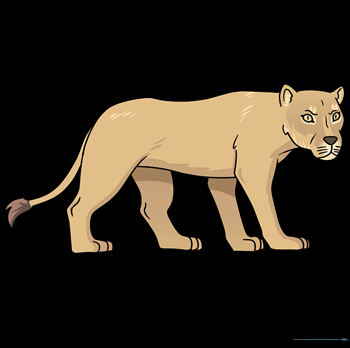 Final colored lioness drawing with natural tan and brown tones.