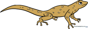 A colorful, finished lizard drawing displayed as a featured art project.