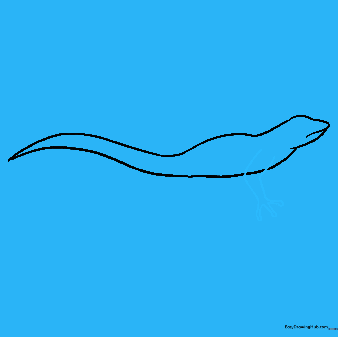 Drawing the front leg and toes of the lizard.