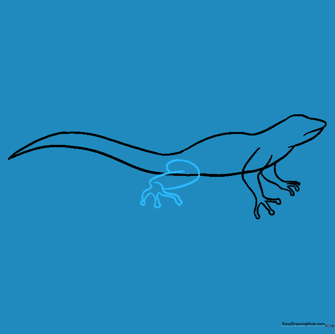 Drawing the rear leg and toes on the lizard's body.