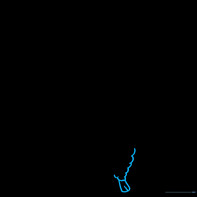 Llama drawing with two front legs visible to show depth.