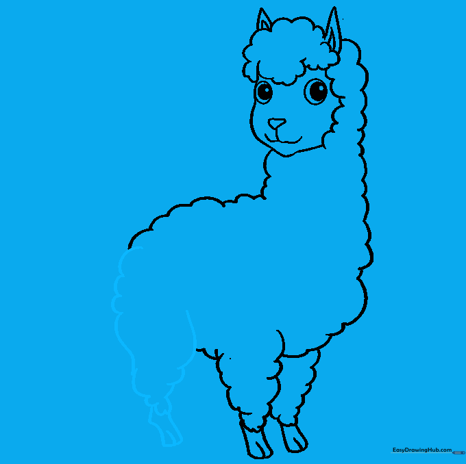 Llama drawing with a rear leg added to the body structure.