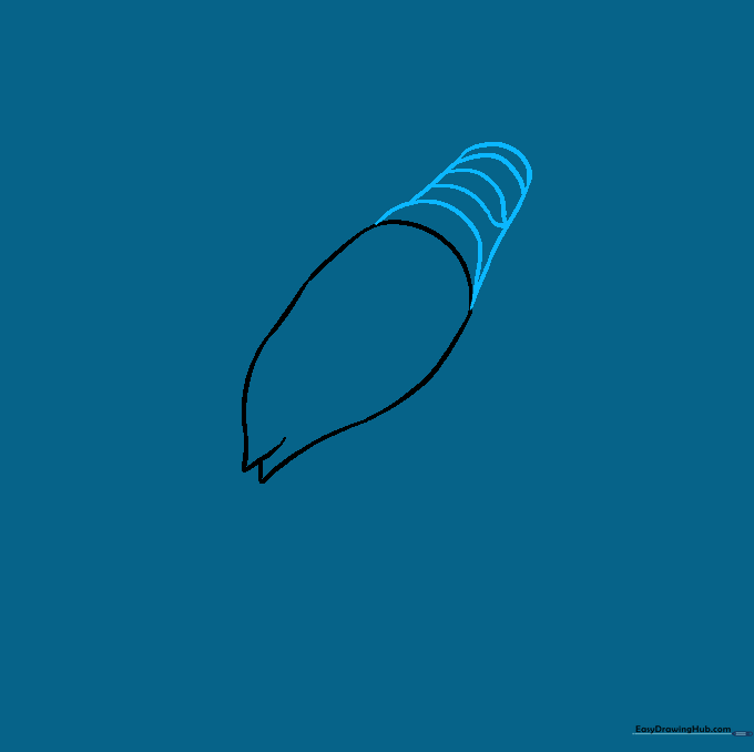Lobster drawing showing the addition of the segmented abdomen attached to the body.