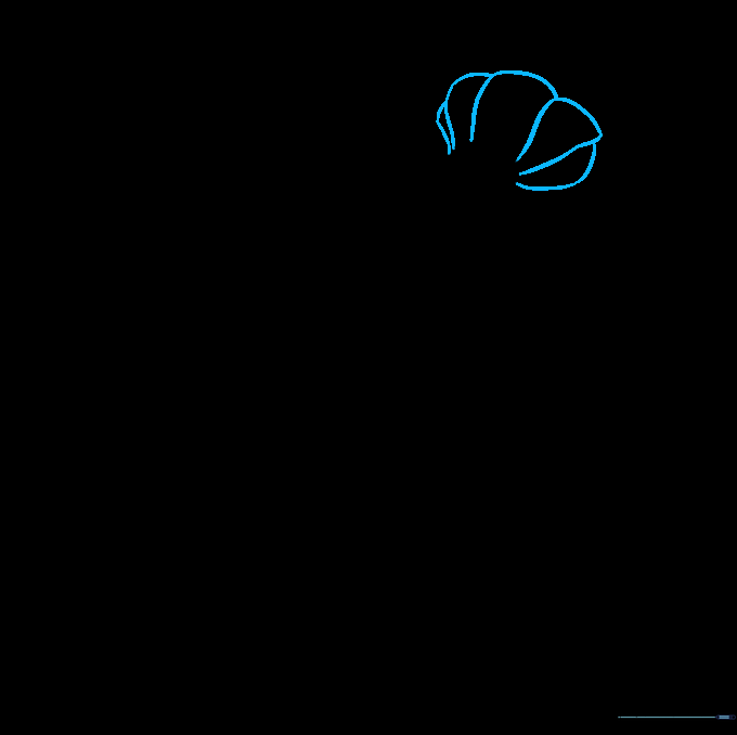 Drawing the lobster's tail fan using multiple overlapping curved shapes.