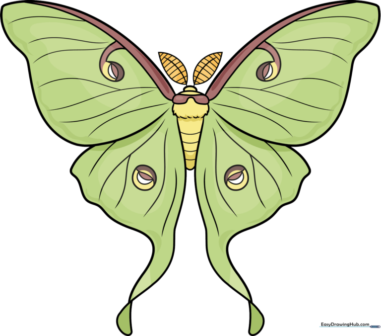 A colorful, finished Luna Moth drawing displayed as a featured art project.