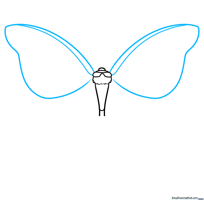 Outlining the large, curved upper wings of the Luna Moth.