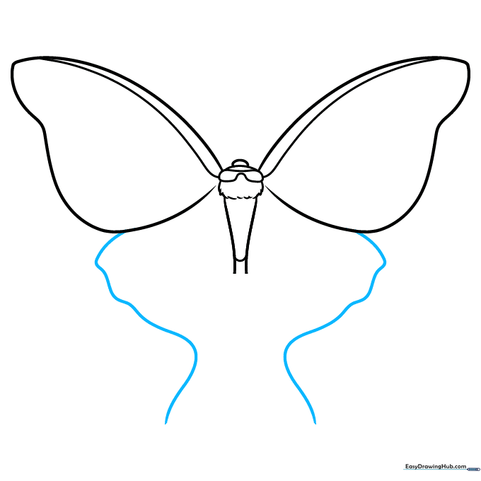 Adding symmetrical wavy lines to the lower wing sections.