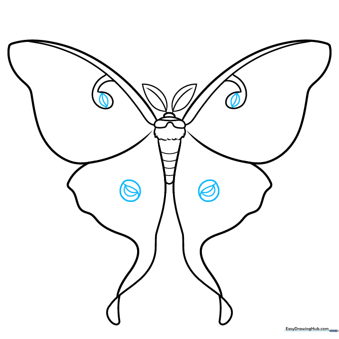 Adding internal wing patterns including circles and crescent shapes.