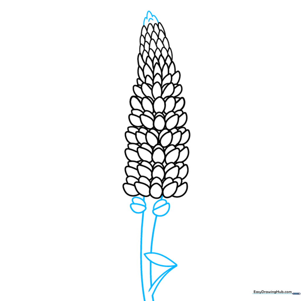 Adding the main stem and initial leaves to the lupine drawing.