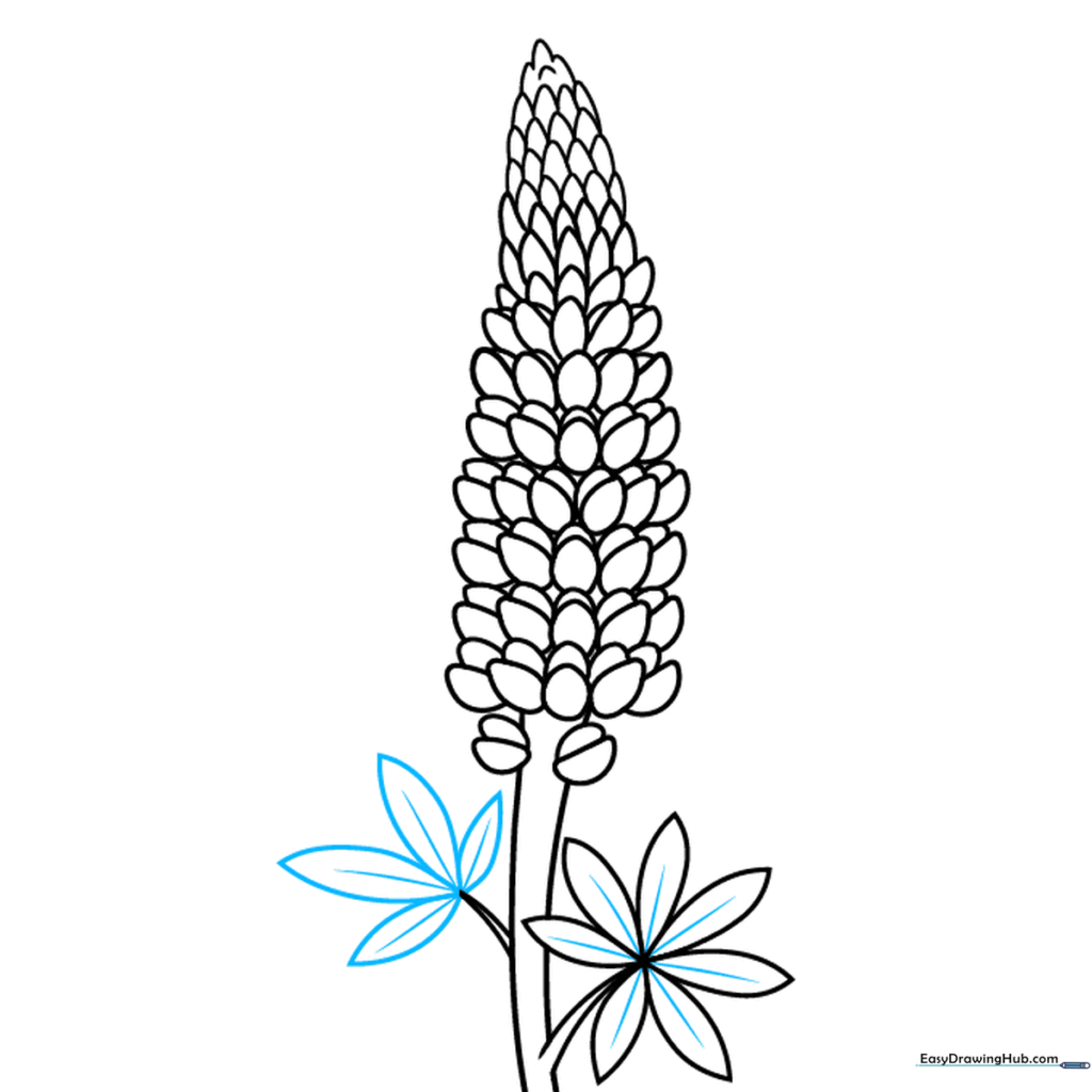 Adding final leaf veins and completing the outline of the lupine plant.