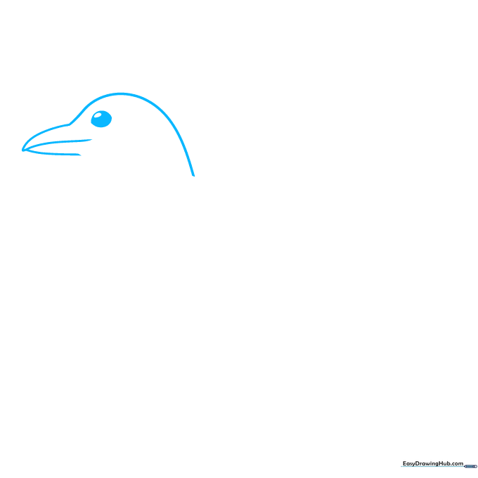 Close-up of a hand-drawn magpie head with a sharp beak and detailed eye.