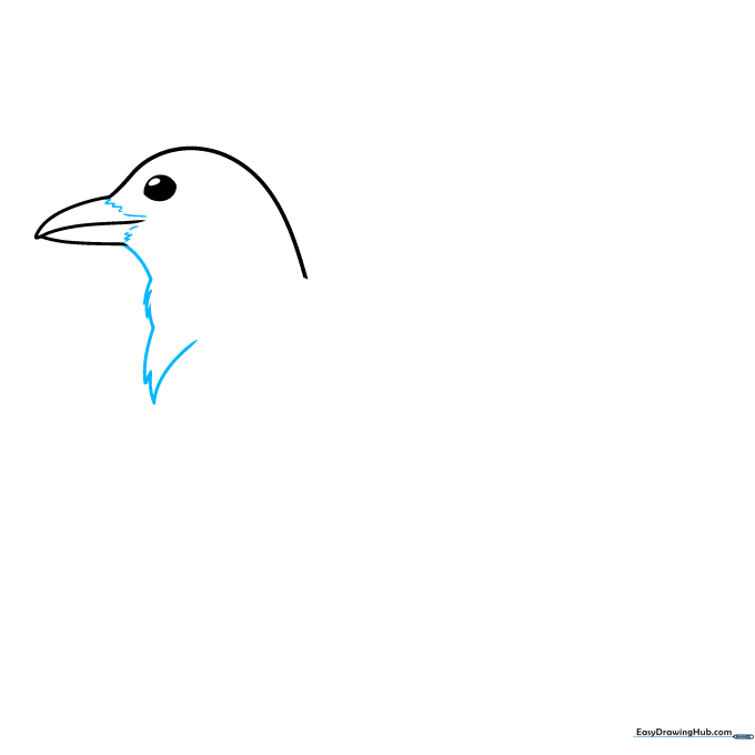 Drawing the jagged, feathery texture on the front of the magpie's neck.