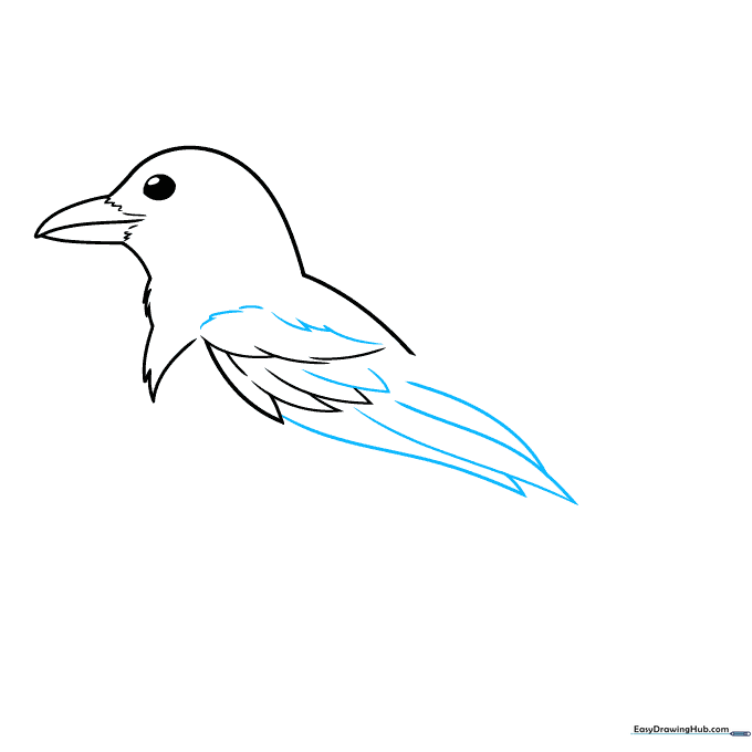Adding detail to the magpie's wing feathers with layered, pointed lines.