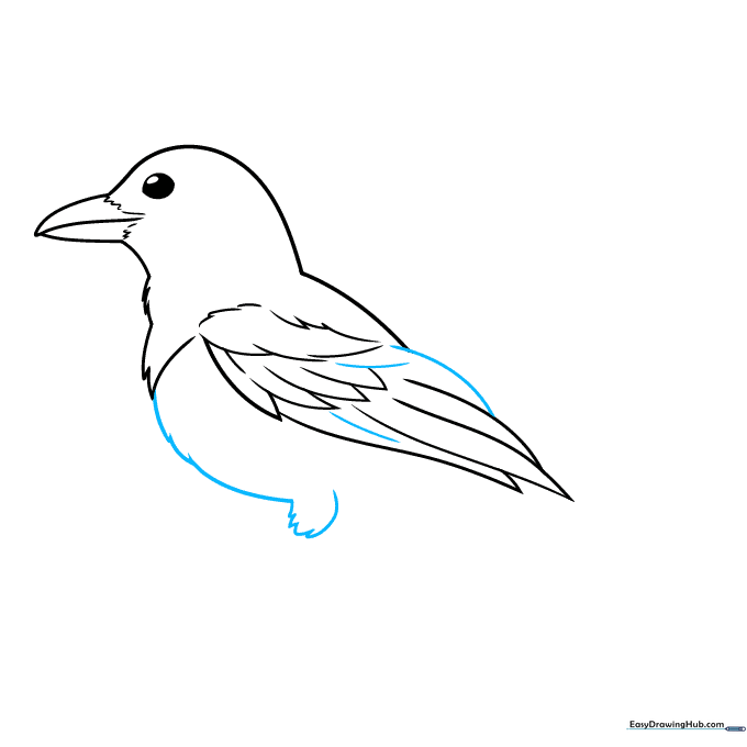 Drawing the rounded belly and the start of the magpie's leg.