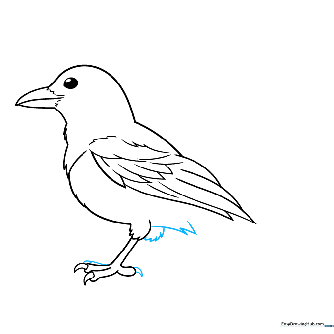 Adding the second leg and the base of the magpie's long tail.