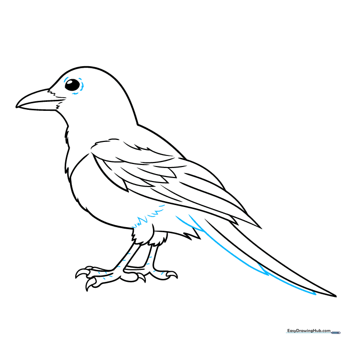 Adding final texture details to the magpie's body and tail.