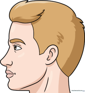 Colorful, finished drawing of a male face in side profile, showcasing the final result of the tutorial.