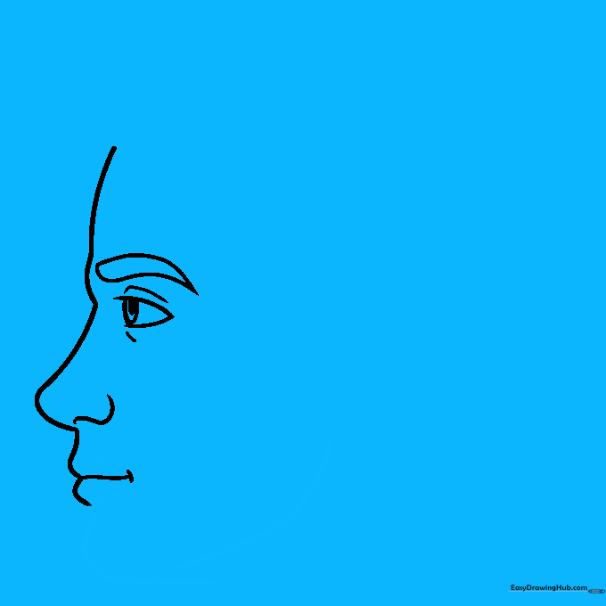 Drawing showing the chin and jawline extending from the mouth area.