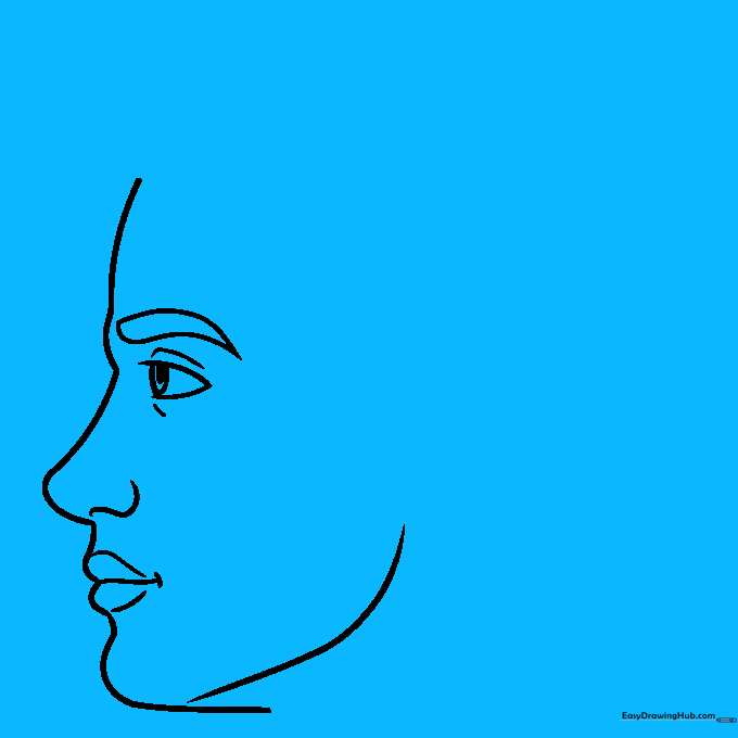 Drawing of a human ear in profile with internal cartilage details.