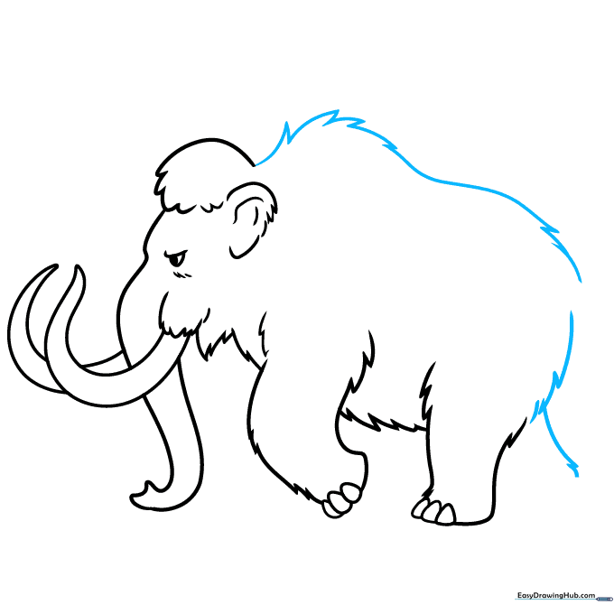 Sketching the high, humped back of the woolly mammoth.