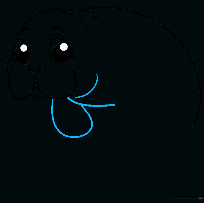 Drawing the belly and the first paddle-shaped flipper.