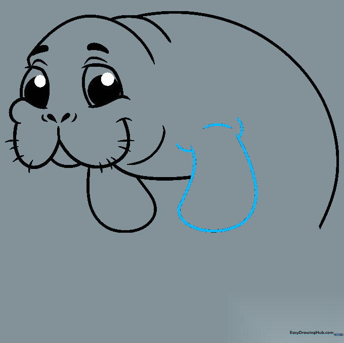 Adding the second flipper and shoulder detail to the manatee.