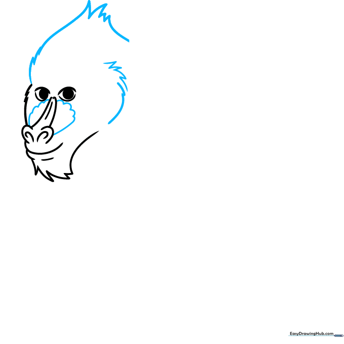 Adding the head shape and cheek definition to the mandrill sketch.