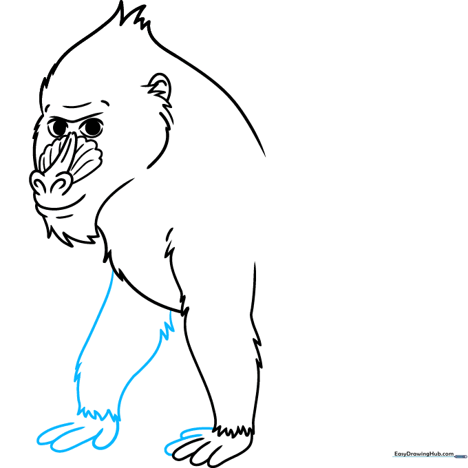 Adding the second arm and hand to the mandrill drawing.