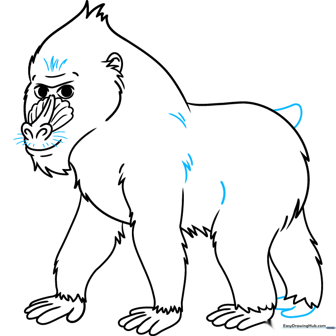 Finalizing the mandrill drawing with whiskers and fur texture details.
