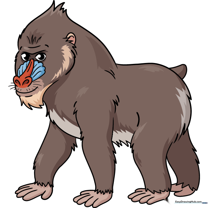 A fully colored, vibrant cartoon mandrill drawing.