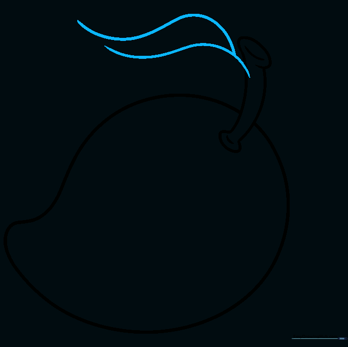 Initial sketch of a mango leaf extending from the stem.