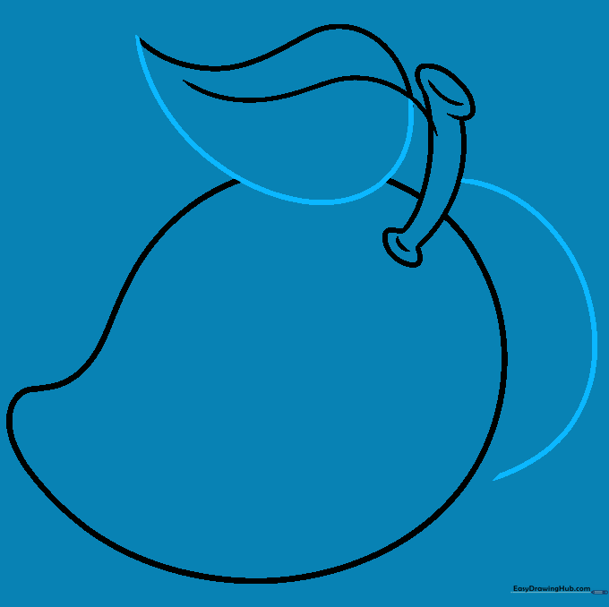 Drawing showing two leaves attached to the mango stem.