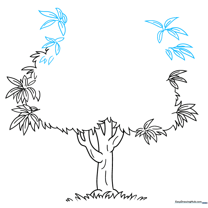 Multiple leaf bunches added to the tree structure.