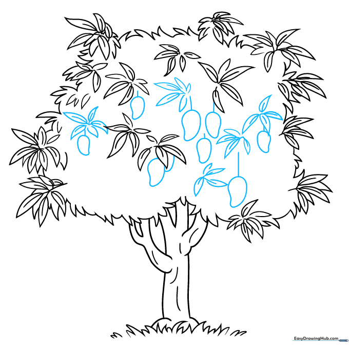 Adding oval-shaped mango fruits hanging from the branches.