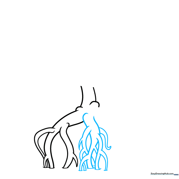 Drawing showing the mangrove roots branching out into smaller segments.